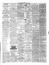 Ulverston Mirror and Furness Reflector Saturday 03 April 1880 Page 3