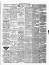 Ulverston Mirror and Furness Reflector Saturday 12 June 1880 Page 3