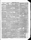 Ulverston Mirror and Furness Reflector Saturday 25 December 1880 Page 5