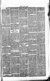 Norwood News Saturday 27 June 1868 Page 3
