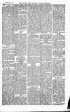 Norwood News Saturday 15 July 1871 Page 3