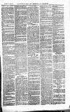 Norwood News Saturday 29 July 1871 Page 7