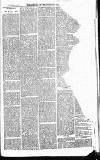 Norwood News Saturday 30 December 1871 Page 3