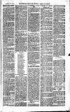 Norwood News Saturday 24 February 1872 Page 7