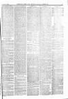 Norwood News Saturday 11 July 1874 Page 7