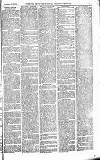Norwood News Saturday 19 December 1874 Page 7