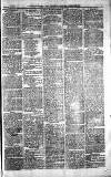 Norwood News Saturday 09 January 1875 Page 7