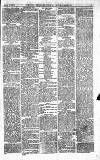 Norwood News Saturday 20 March 1875 Page 3