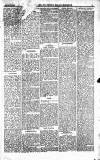 Norwood News Saturday 17 April 1875 Page 5