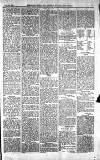 Norwood News Saturday 24 July 1875 Page 5