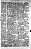 Norwood News Saturday 24 July 1875 Page 7