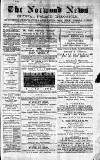 Norwood News Saturday 28 August 1875 Page 1