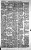 Norwood News Saturday 11 September 1875 Page 3