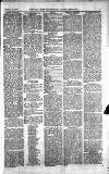 Norwood News Saturday 16 October 1875 Page 3