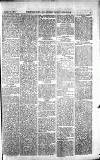 Norwood News Saturday 16 October 1875 Page 5