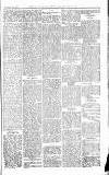 Norwood News Saturday 19 February 1876 Page 5