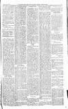 Norwood News Saturday 10 June 1876 Page 3