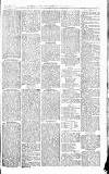Norwood News Saturday 10 June 1876 Page 7