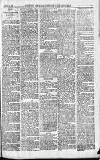 Norwood News Saturday 05 August 1876 Page 7