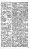 Norwood News Saturday 27 January 1877 Page 3