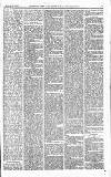 Norwood News Saturday 27 January 1877 Page 5