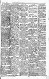 Norwood News Saturday 03 February 1877 Page 7