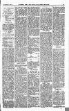 Norwood News Saturday 24 February 1877 Page 3
