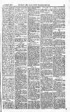 Norwood News Saturday 24 February 1877 Page 5