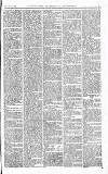 Norwood News Saturday 10 March 1877 Page 7