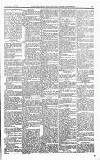 Norwood News Saturday 06 October 1877 Page 5