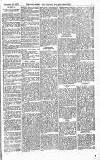 Norwood News Saturday 15 December 1877 Page 3