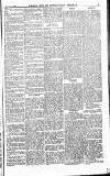 Norwood News Saturday 14 December 1878 Page 3