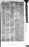 Norwood News Saturday 18 January 1879 Page 7