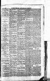 Norwood News Saturday 25 January 1879 Page 3