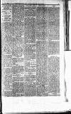 Norwood News Saturday 01 March 1879 Page 5