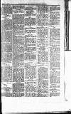 Norwood News Saturday 01 March 1879 Page 7