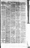 Norwood News Saturday 15 March 1879 Page 7