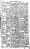 Norwood News Saturday 28 February 1880 Page 3