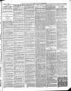 Norwood News Saturday 05 June 1880 Page 3