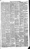 Norwood News Saturday 13 November 1880 Page 5