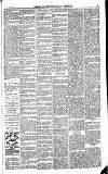 Norwood News Saturday 27 November 1880 Page 3