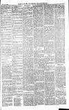 Norwood News Saturday 24 November 1883 Page 3