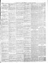 Norwood News Saturday 24 May 1884 Page 3