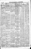 Norwood News Saturday 12 July 1884 Page 3