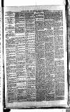 Norwood News Saturday 31 January 1885 Page 3