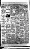 Norwood News Saturday 07 February 1885 Page 3
