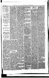 Norwood News Saturday 02 May 1885 Page 5