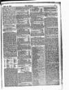 The Referee Sunday 22 September 1878 Page 5
