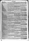 The Referee Sunday 03 November 1878 Page 3