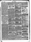 The Referee Sunday 03 November 1878 Page 5